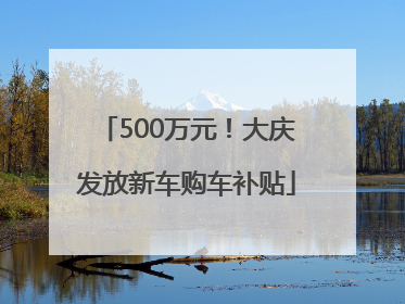 500万元！大庆发放新车购车补贴