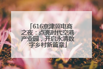 616京津冀电商之夜：点亮时代空港产业园，开启永清数字乡村新篇章