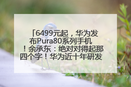 6499元起，华为发布Pura80系列手机！余承东：绝对对得起那四个字！华为近十年研发投入12490亿元