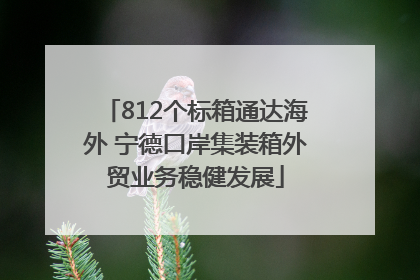812个标箱通达海外 宁德口岸集装箱外贸业务稳健发展