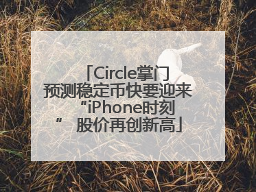 Circle掌门预测稳定币快要迎来“iPhone时刻” 股价再创新高