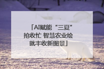 AI赋能“三夏”抢收忙 智慧农业绘就丰收新图景