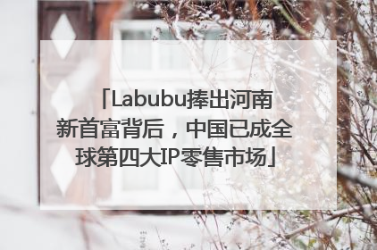 Labubu捧出河南新首富背后，中国已成全球第四大IP零售市场