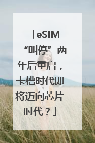 eSIM“叫停”两年后重启，卡槽时代即将迈向芯片时代？